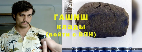 индика Абаза