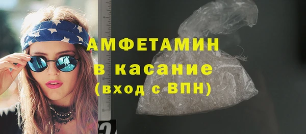 индика Абаза