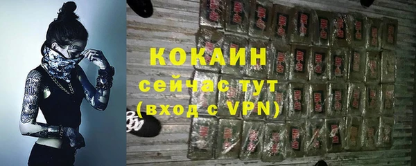 индика Абаза