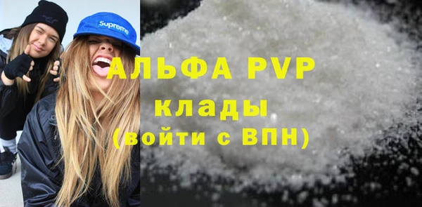 амф Бердск