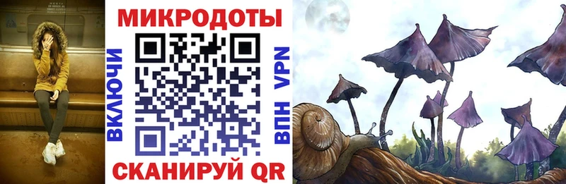 Псилоцибиновые грибы мухоморы  kraken маркетплейс  Назрань 
